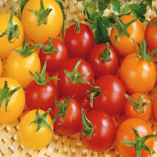 Kirschtomaten-Samen gemischt