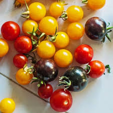 Kirschtomaten-Samen gemischt