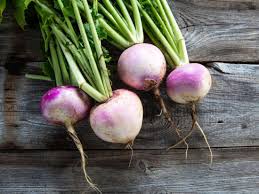 Turnip Seeds for Fall & Spring Planting