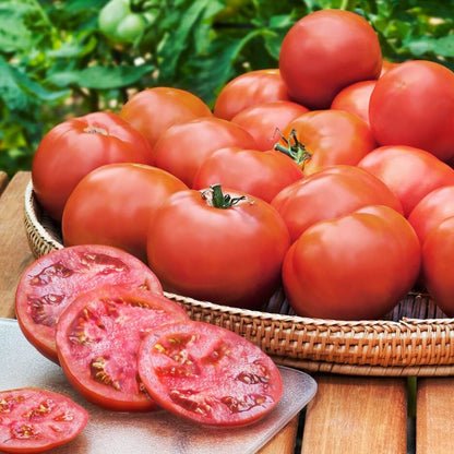 Classic Tomato Seed Collection – For Planting