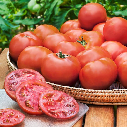 Classic Tomato Seed Collection – For Planting