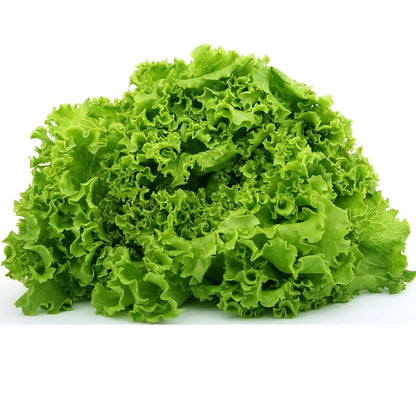 Erbstück-Salat-Samen – Nicht-GVO-Sorten