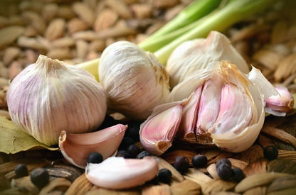 Nutritious Garlic Seeds for Growing Flavorful Vegetables