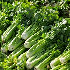 Whole Celery Seeds – Premium Quality