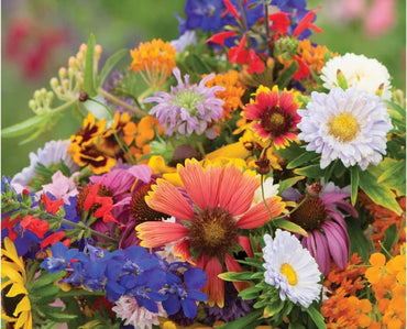 Low Profile Wildflower Seed Mix