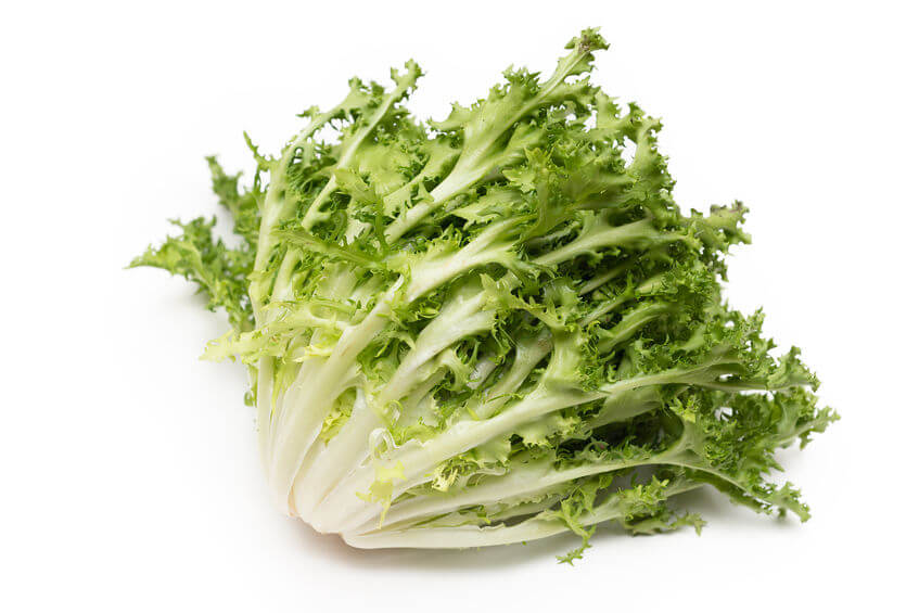 Endive Seed Collection for Planting – Heirloom, Non-GMO, Leafy Greens