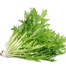 Best Endive Seeds