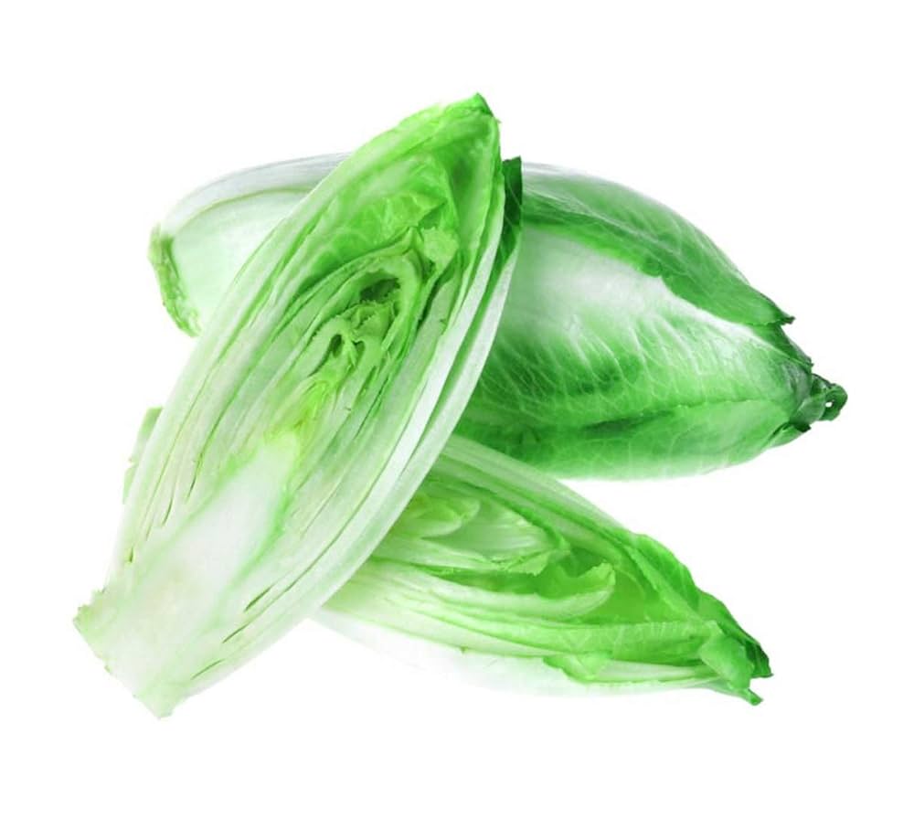 Endive Seed Collection for Planting – Heirloom, Non-GMO, Leafy Greens