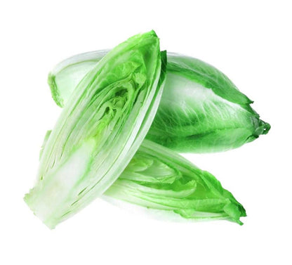 Endive Seed Collection for Planting – Heirloom, Non-GMO, Leafy Greens
