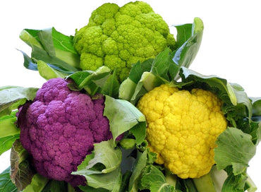 Purple, Green & Yellow Varieties Cauliflower Mix Seeds