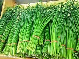 Flowering Chinese Leek Seeds
