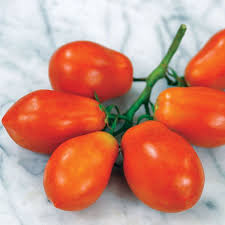 Graines de tomate Roma de Martino