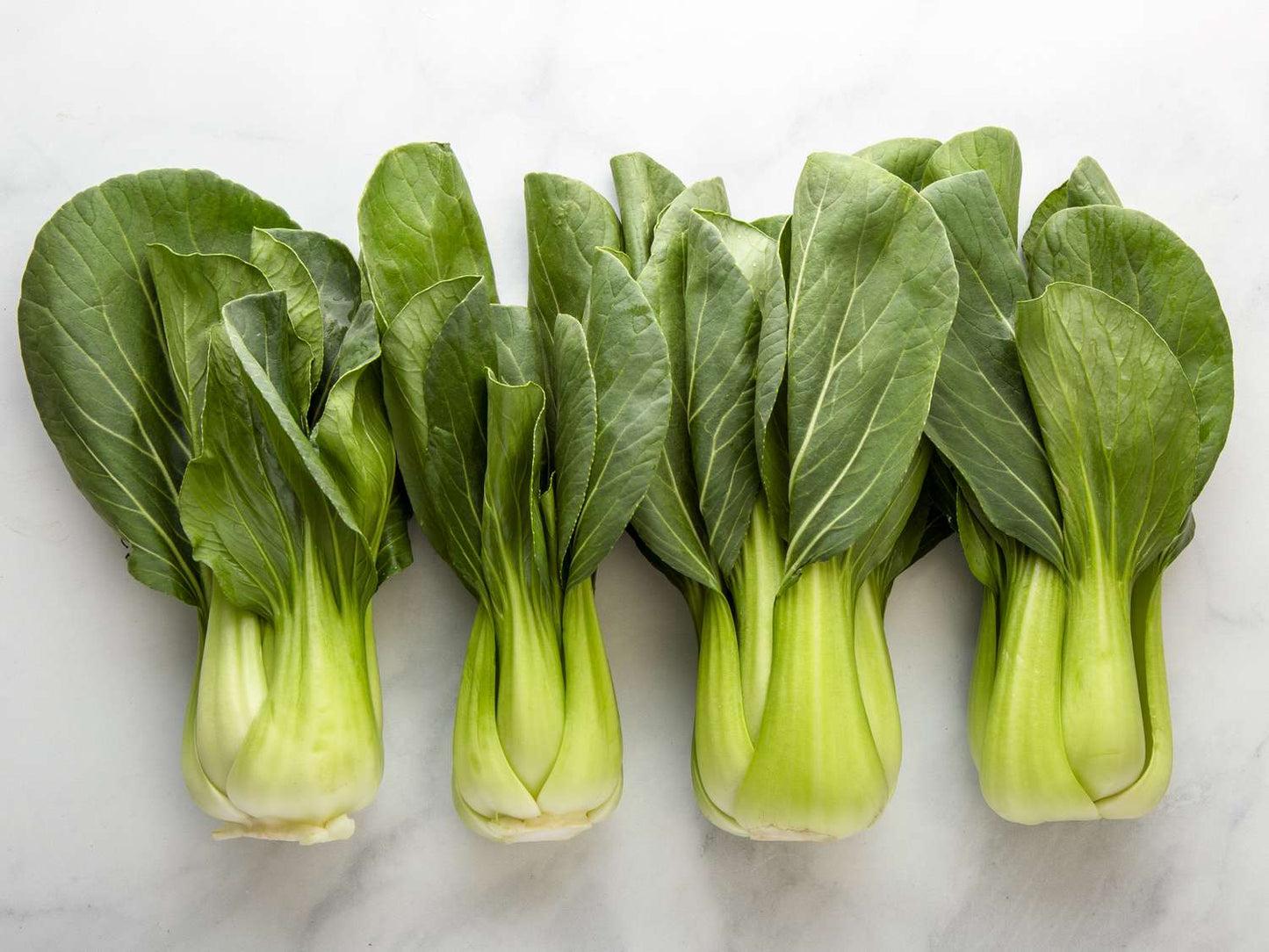 Toy Choy Baby Choy Pfannengerührte Erbstück-Samen Bok Choi