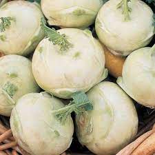 Everwilde Farms White Vienna Kohlrabi Seeds
