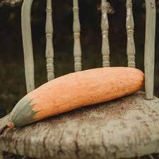 North Georgia Candy Roaster Squash Seeds