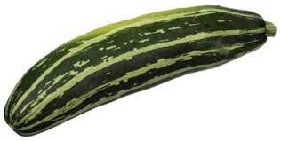 Sow Right Seeds Cocozelle Zucchin Samen