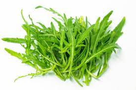 Roquette Rucola Samen