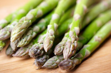 "Bulk Mary Washington Asparagus Seeds