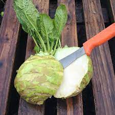 Superschmelz Giant White Kohlrabi Seeds