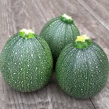 丸ズッキーニの種