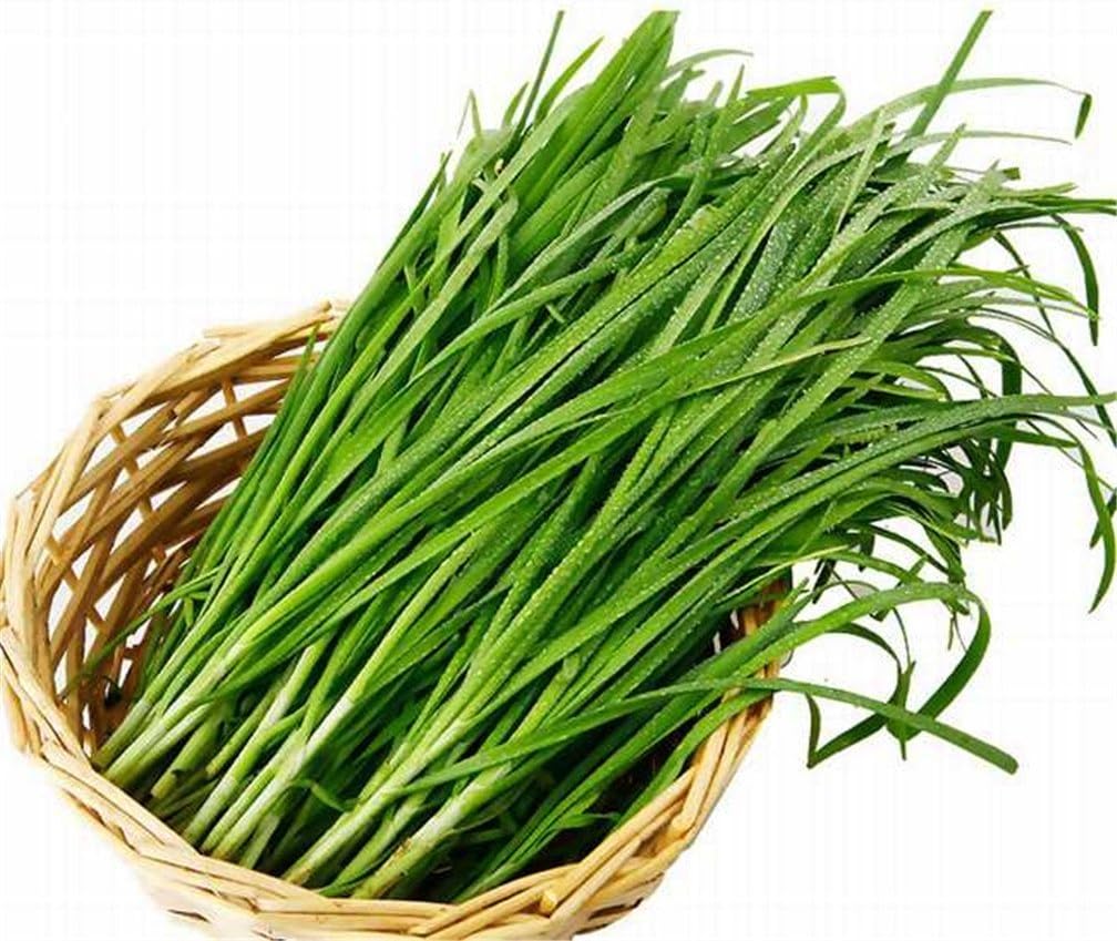 Chinese Leek Seeds