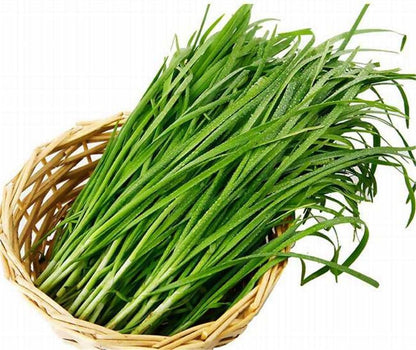 Chinese Leek Seeds