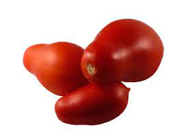 Graines de tomate Roma