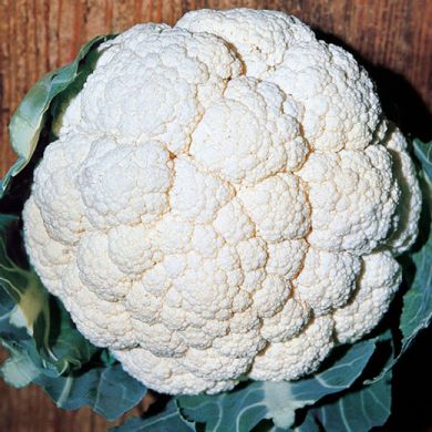 Cold-Hardy White Heads Igloo Cauliflower Seeds