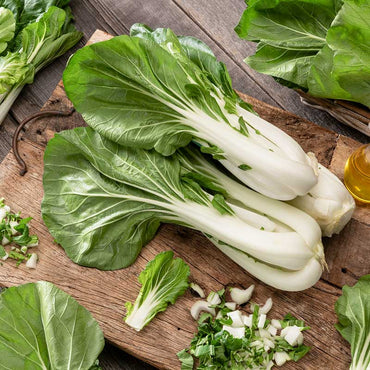 Bases pour jardiniers, graines de chou chinois Bok Choy