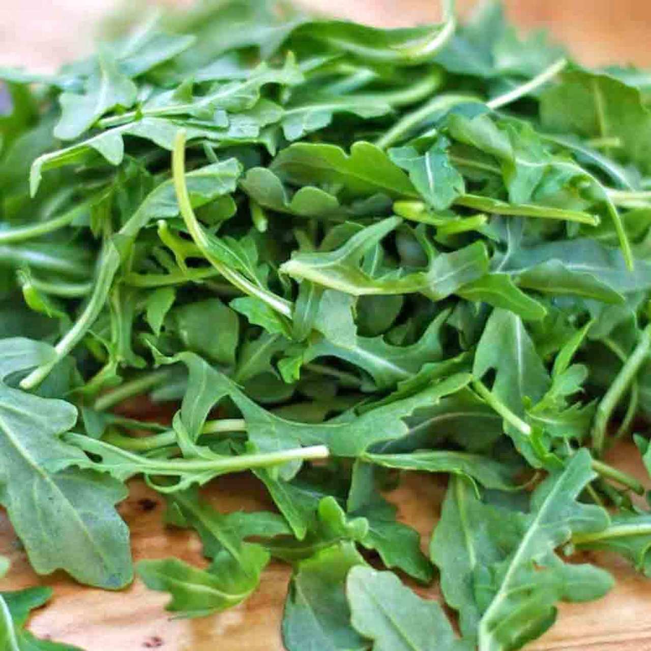 Graines de roquette patrimoniale non-OGM
