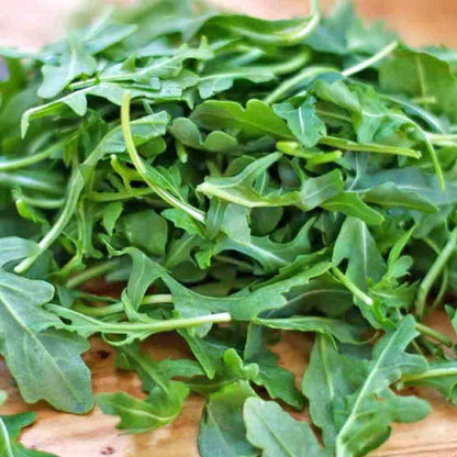 Graines de roquette patrimoniale non-OGM