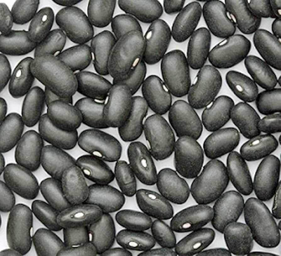 Black Turtle Seeds