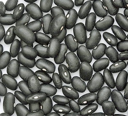 Black Turtle Seeds
