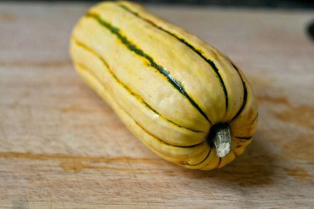 Semi di zucchina delicata