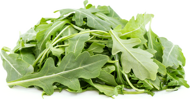 Rucola Crescione Italiano Rocket Grandi Semi di Verdura Antichi