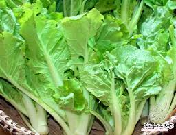 VERDURE ASIATICHE "Fun Jen" choi riccio o "Bok Choy"