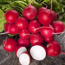 Rainbow Radish Seeds for Growing