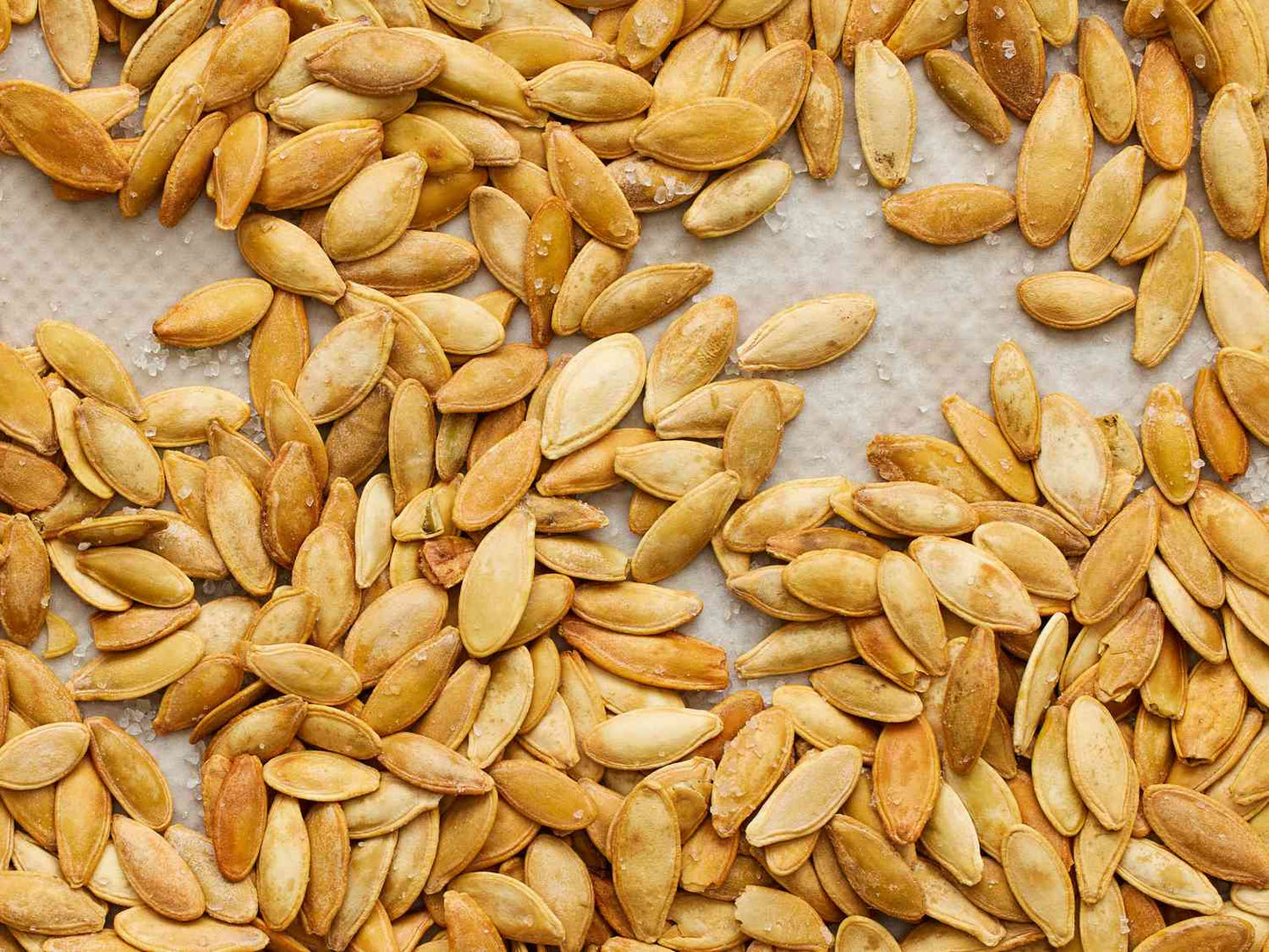Semi di pianta di zucca