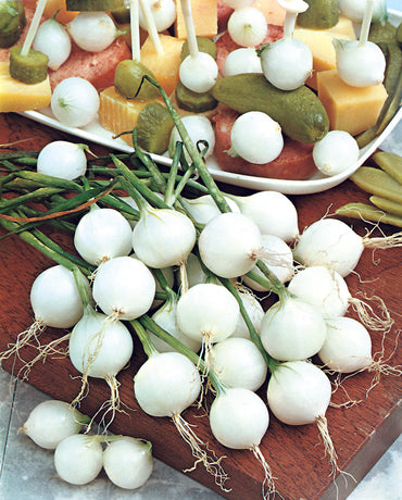 Paris Silverskin Pearl Onion Vegetable Seeds for Planting – Heirloom, Non-GMO, Easy to Grow, Annual