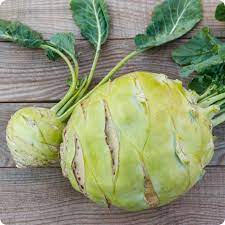 Big Daddy White Kohlrabi Seeds