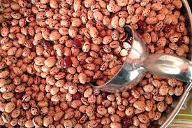 Hidatsa Red Pole Bean