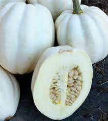 Graines de courge pomme de terre écrasée