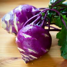 Early Purple Vienna Kohlrabi Seeds