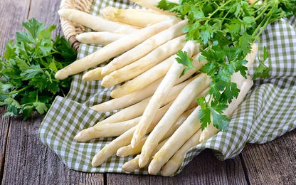 Graines d'asperges blanches