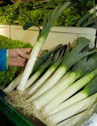 Leek Autumn Giant Seeds