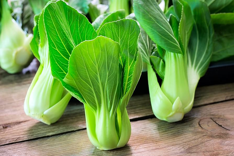 Burpee Toy Choi Cabbage Seeds
