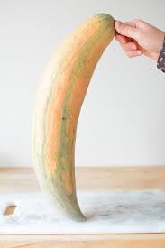 North Georgia Candy Roaster Squash Seeds