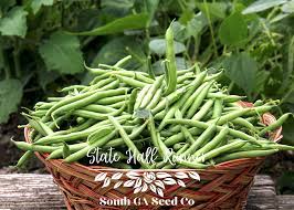 Half Runner Bean Green Been Seeds