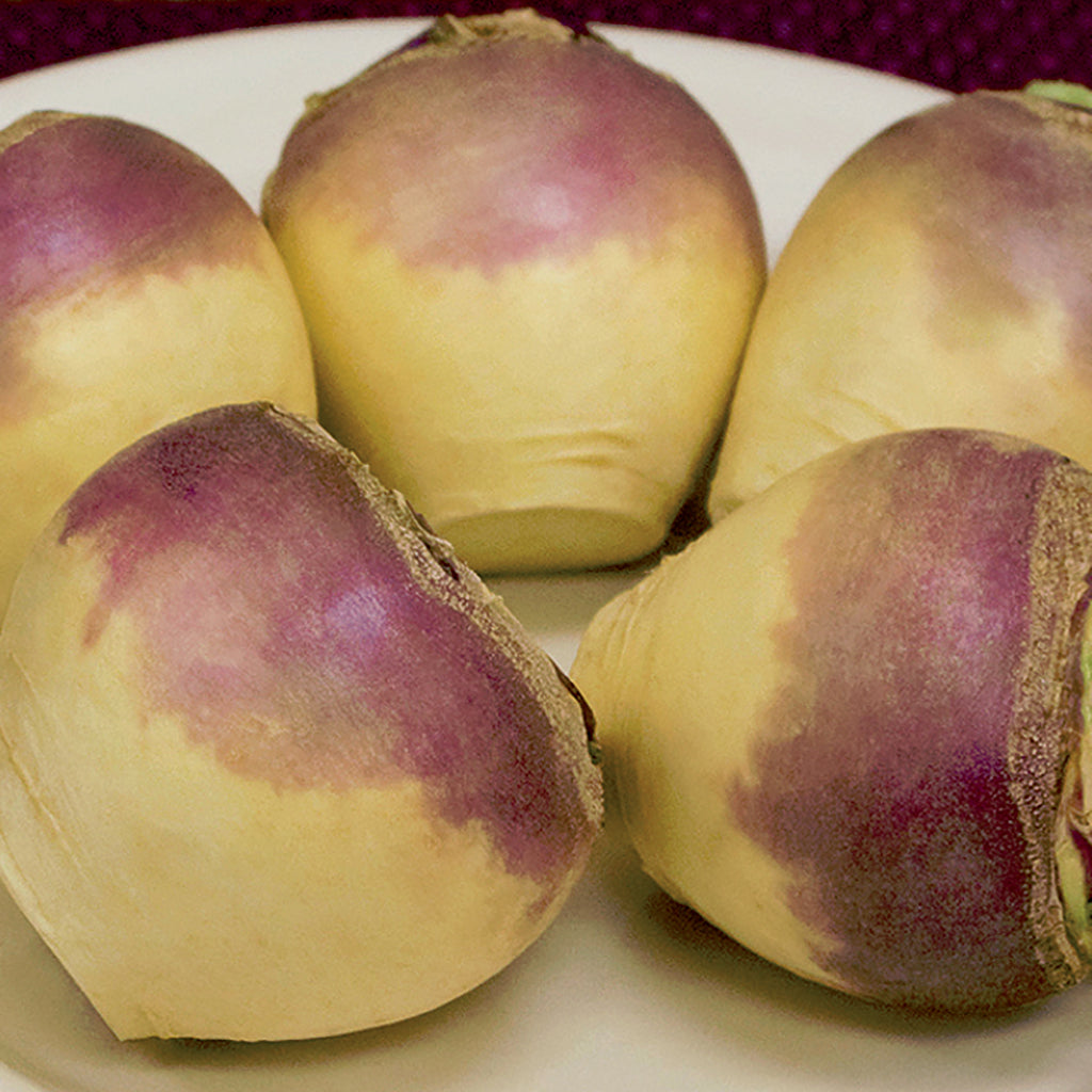 Kohlrabi Seed Packet Collection – Purple & White