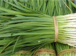 Chinese Leek Seeds
